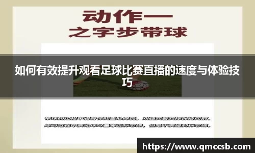 MK体育手机网页版登录