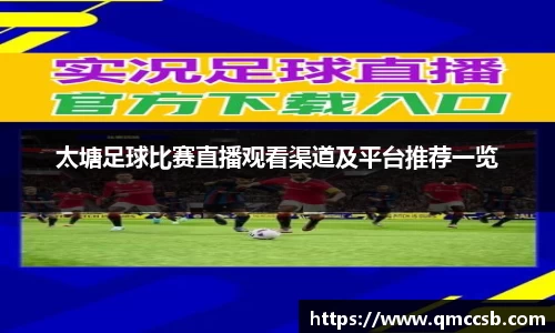 MK体育官网版