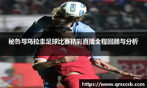 MK体育手机网页版登录
