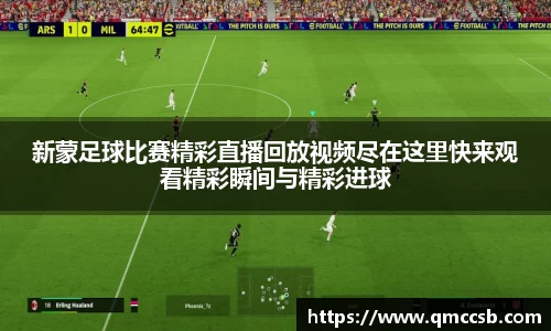 MK体育手机网页版登录