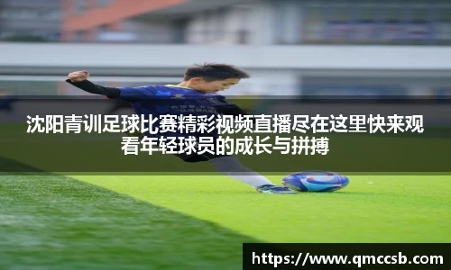 MK体育手机网页版登录